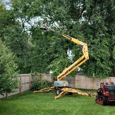 Best Utility Line Clearance  in Isla Vista, CA